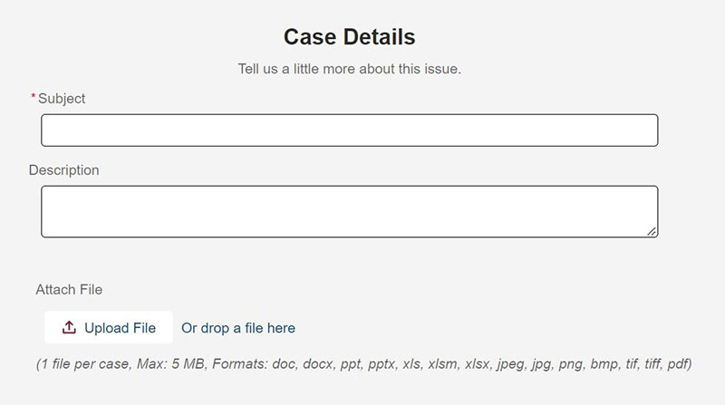 Case Details Section