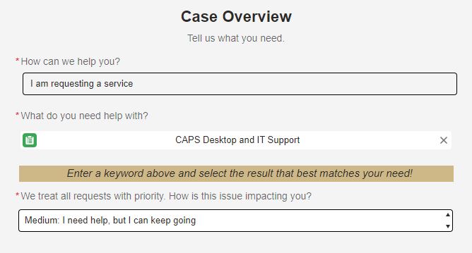 Case Overview Section