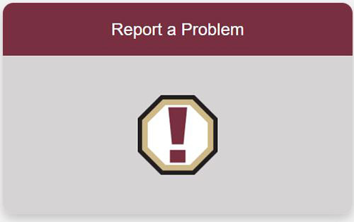 Report a Problem Button